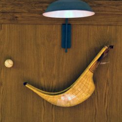 DTXAPELA-DETALLE-COLUMNA-02