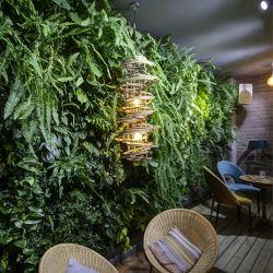 Detalle de jardín Vertical