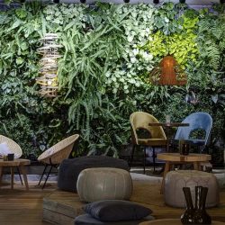 Mobiliario bar con sillas tapizadas